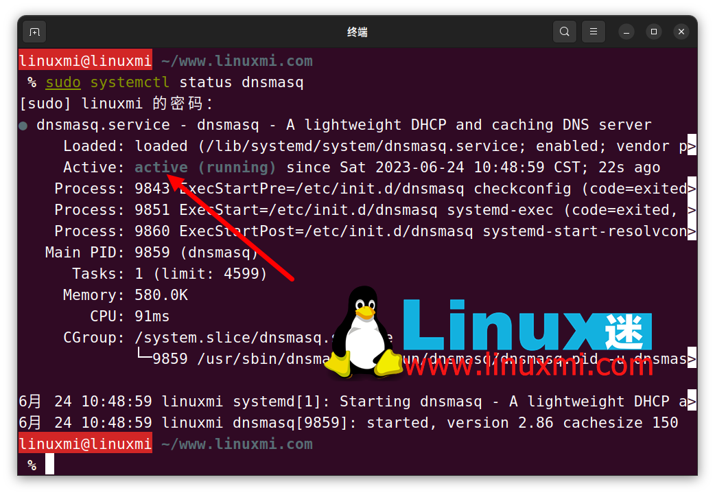 如何在 Linux 上检察和刷新 DNS 缓存